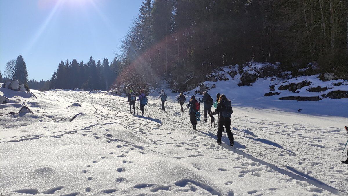 Ciaspolata sull’Altopiano di Asiago: tra boschi e malghe sopra Lusiana desktop picture