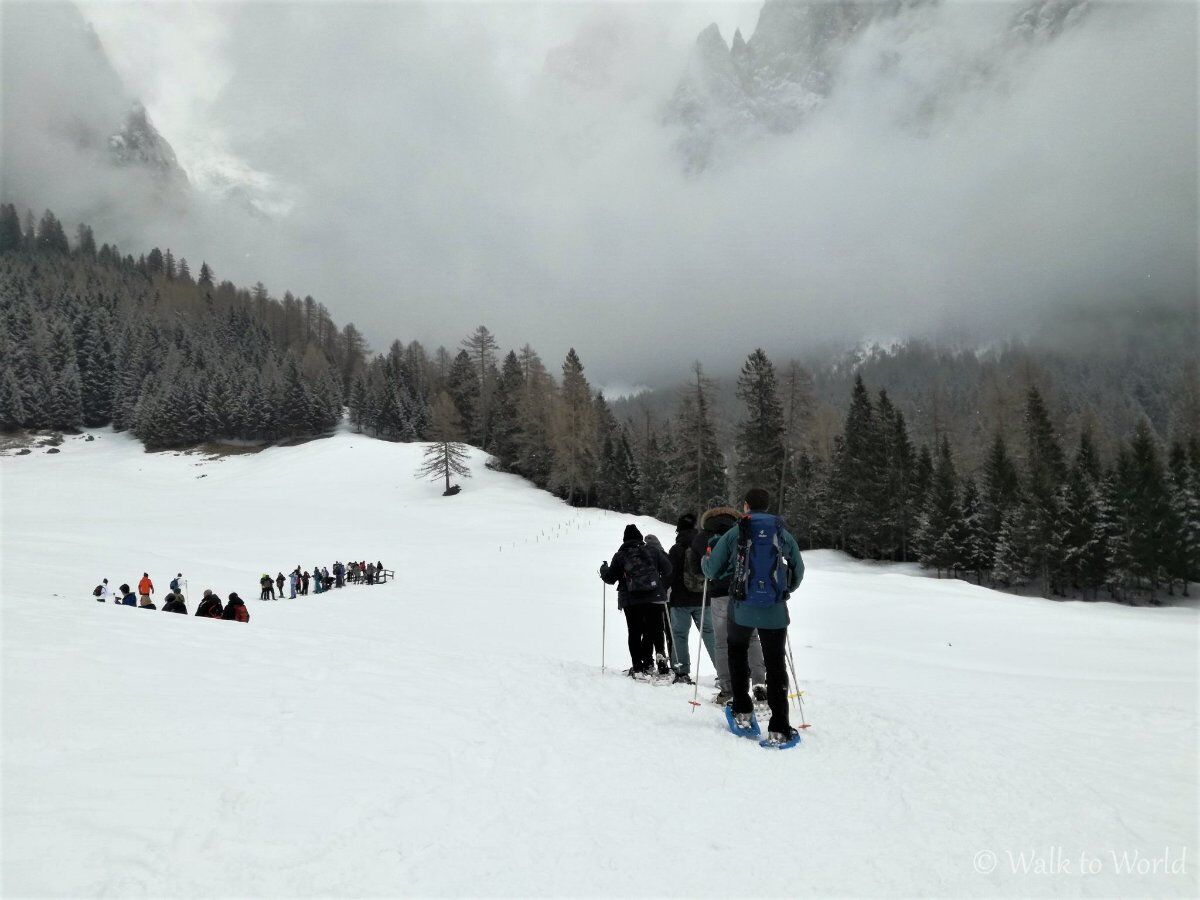 Ciaspolata panoramica in Val di Roda: la Valle Incantata Ciaspolata panoramica in Val di Roda: la Valle Incantata desktop picture