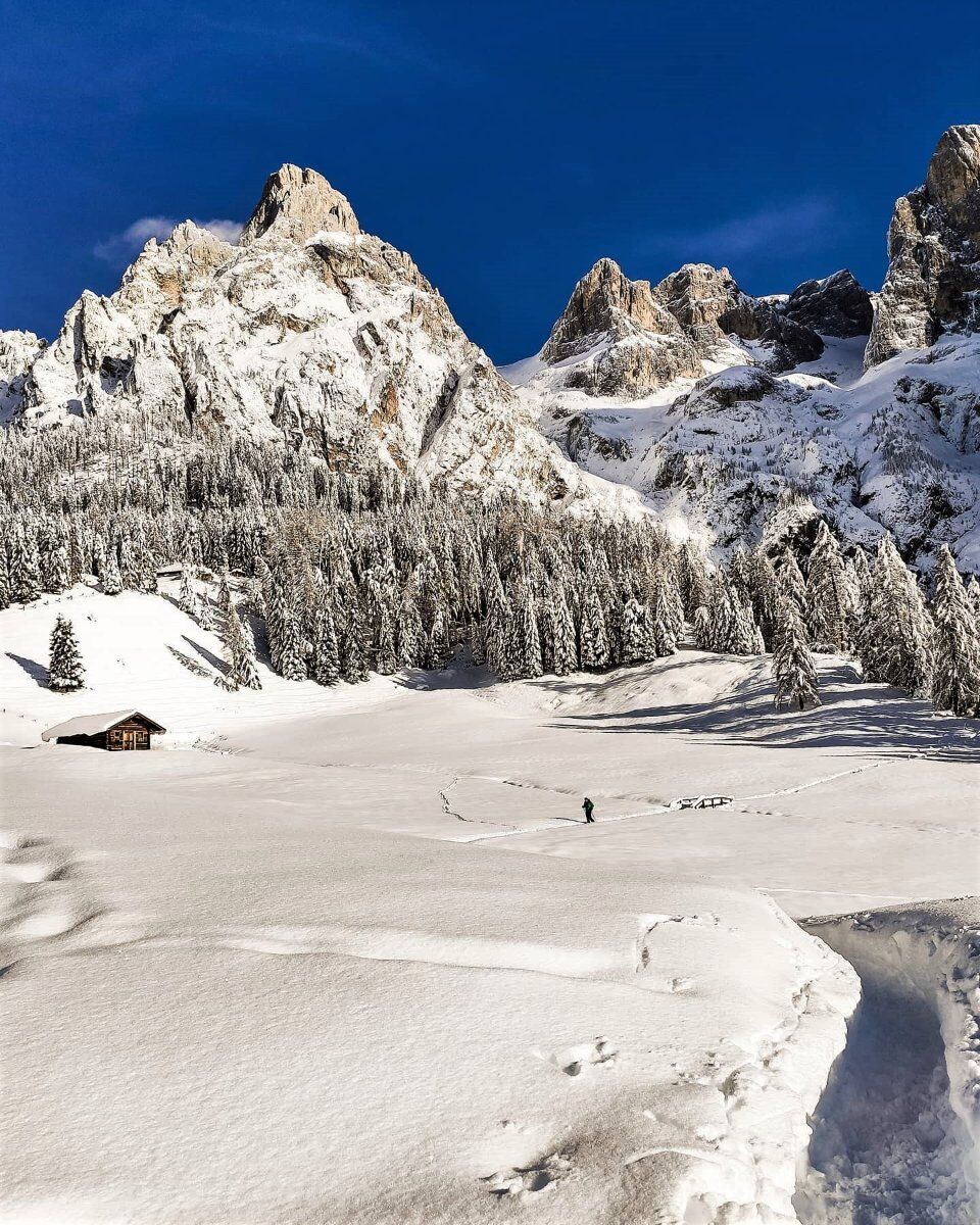 Ciaspolata panoramica in Val di Roda: la Valle Incantata Ciaspolata panoramica in Val di Roda: la Valle Incantata desktop picture