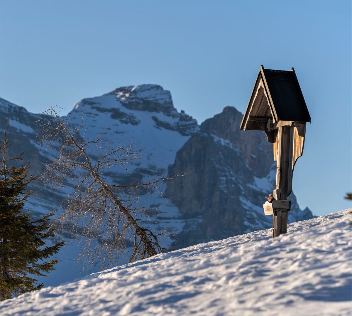 Ciaspolata al Monte Rite: la terrazza panoramica sulle Dolomiti desktop picture