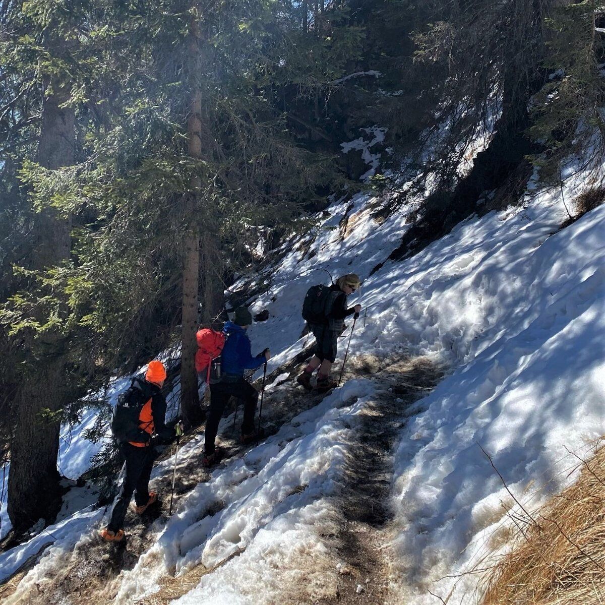 Ciaspolata al Monte Rite: la terrazza panoramica sulle Dolomiti Ciaspolata al Monte Rite: la terrazza panoramica sulle Dolomiti desktop picture