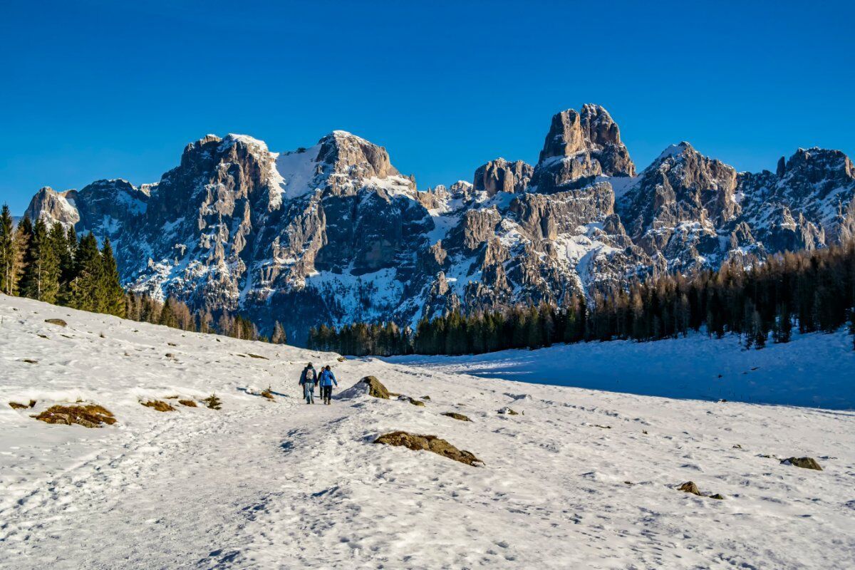 Ciaspolata da San Martino di Castrozza al Lago di Calaita desktop picture