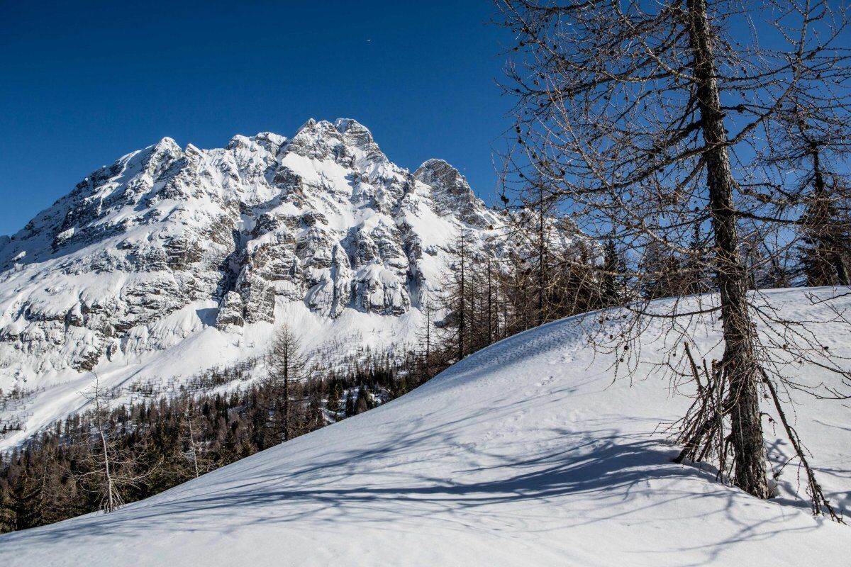Ciaspolata in Val Pramper: da Zoldo al Parco Nazionale Dolomiti Bellunesi desktop picture
