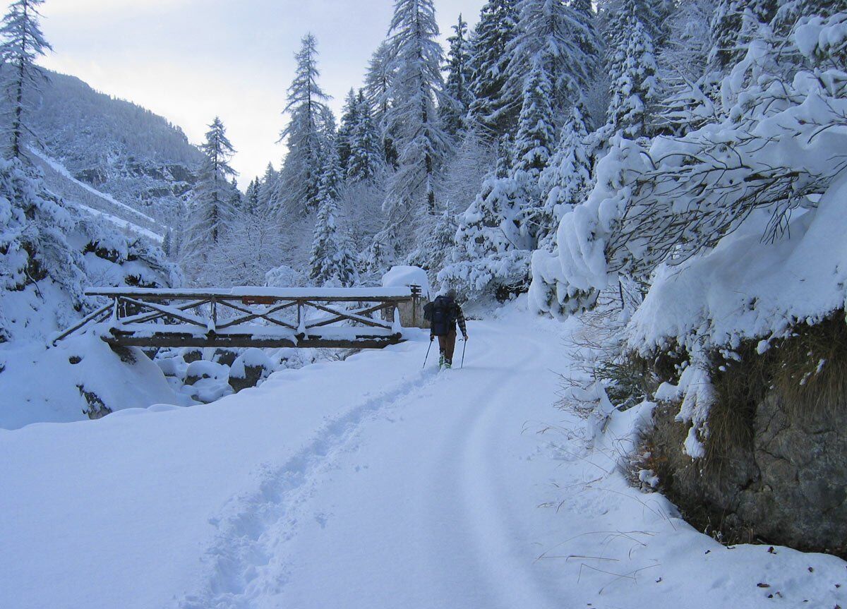 Ciaspolata in Val Pramper: da Zoldo al Parco Nazionale Dolomiti Bellunesi desktop picture