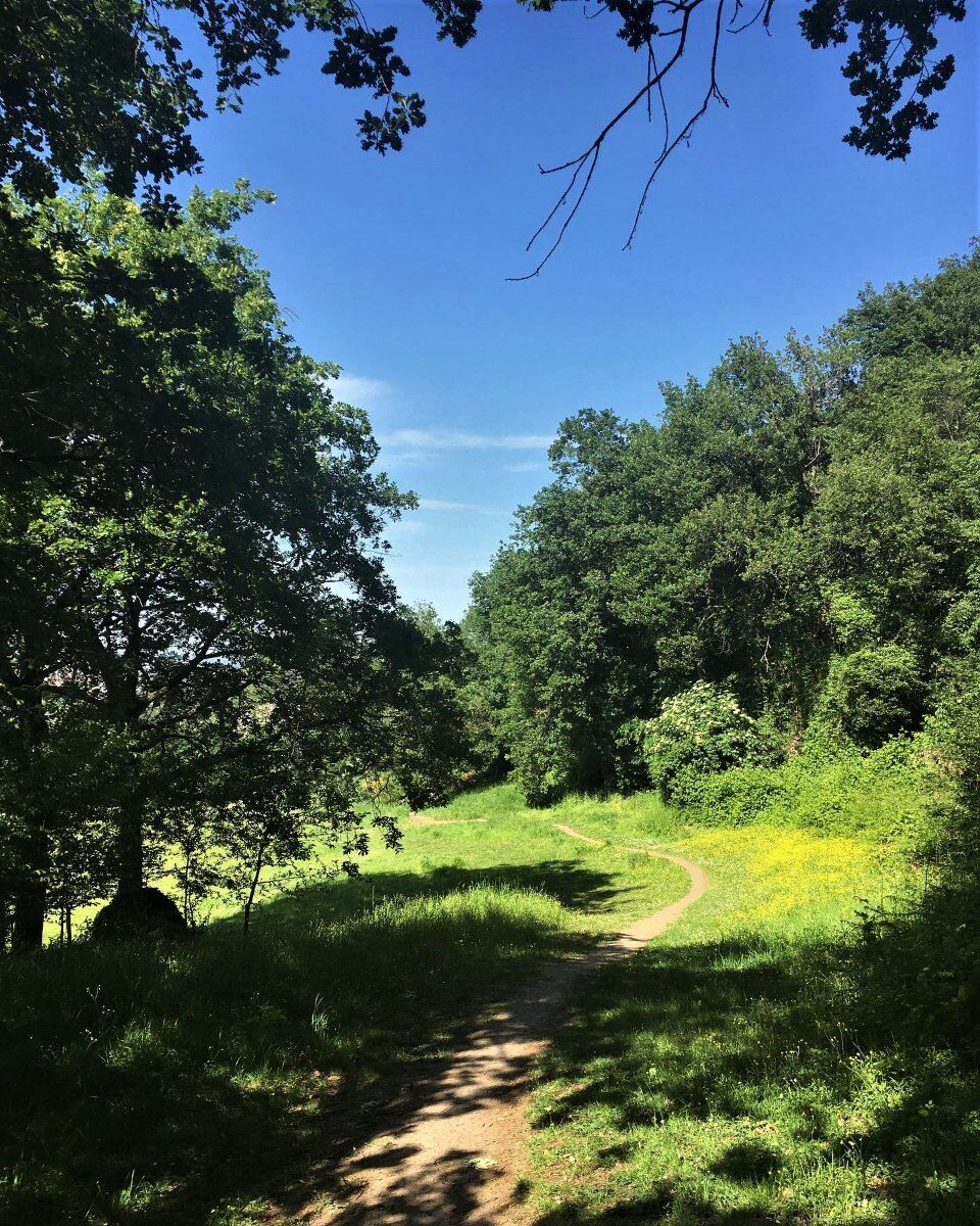 Escursione dalla Dolina della Spipola alla Chiesa di Montecalvo Escursione dalla Dolina della Spipola alla Chiesa di Montecalvo desktop picture