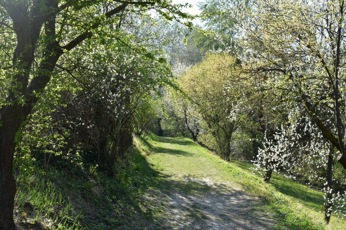 Escursione tra i Calanchi dell'Abbadessa fino a Settefonti Escursione tra i Calanchi dell'Abbadessa fino a Settefonti desktop picture