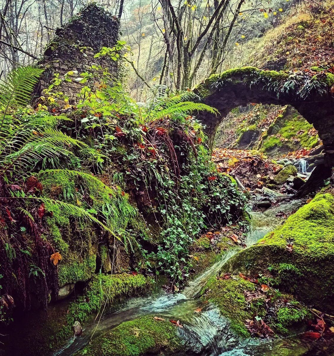 Trekking nella Valle abbandonata di Pietrapazza Trekking nella Valle abbandonata di Pietrapazza desktop picture