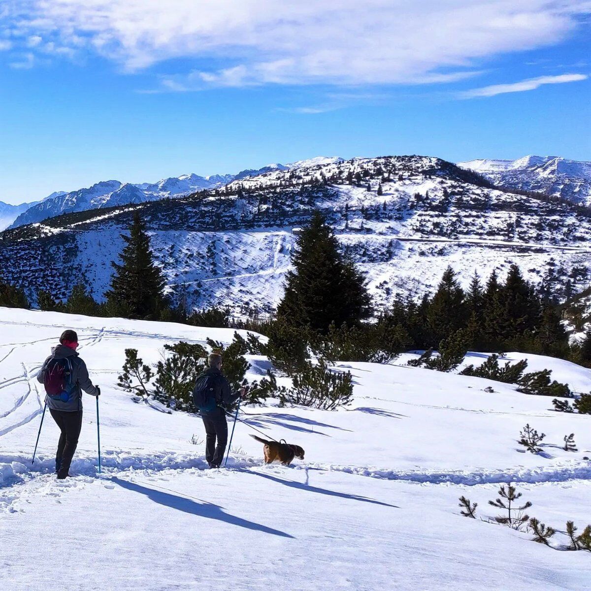Ciaspolata panoramica con visita guidata al Forte Campomolon Ciaspolata panoramica con visita guidata al Forte Campomolon desktop picture