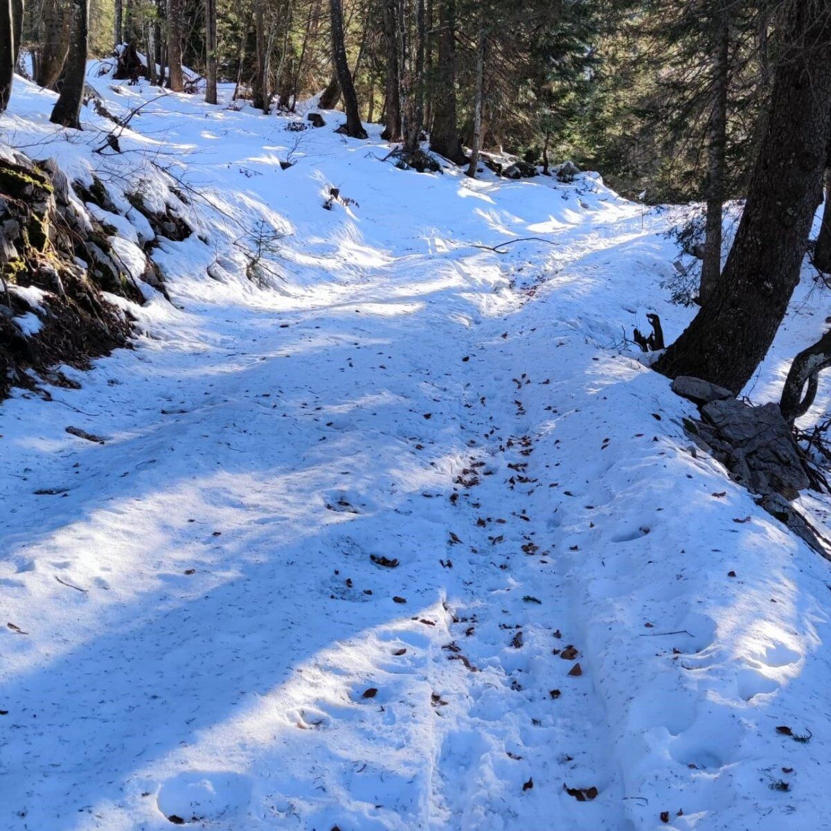 Ciaspolata panoramica con visita guidata al Forte Campomolon Ciaspolata panoramica con visita guidata al Forte Campomolon desktop picture