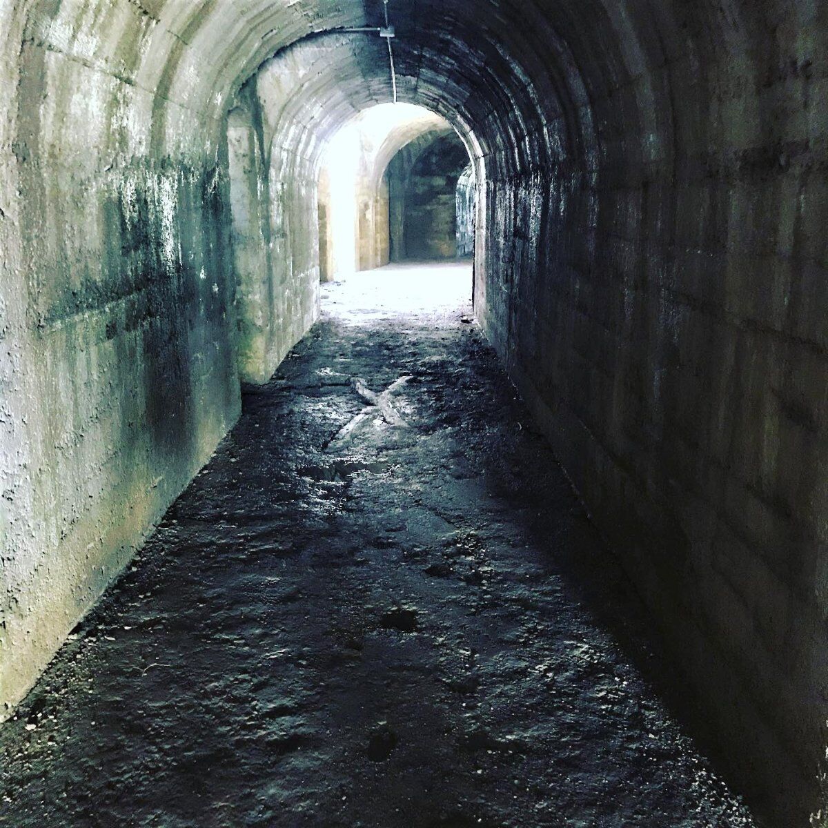 Ciaspolata panoramica con visita guidata al Forte Campomolon Ciaspolata panoramica con visita guidata al Forte Campomolon desktop picture