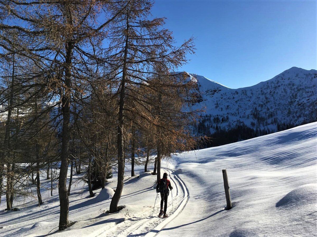 Ciaspolata panoramica con Pranzo in rifugio in Val Grigna desktop picture