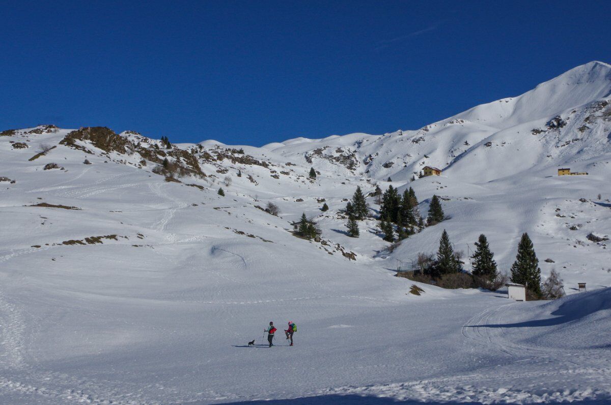 Ciaspolata ai Piani di Artavaggio con pranzo in rifugio Ciaspolata ai Piani di Artavaggio con pranzo in rifugio desktop picture