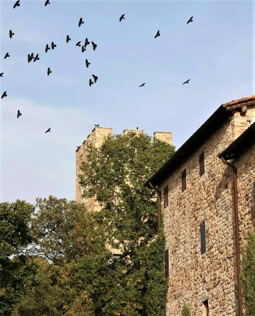 Trekking sulle colline reggiane: tra panorami, chiese e case a torre Trekking sulle colline reggiane: tra panorami, chiese e case a torre desktop picture