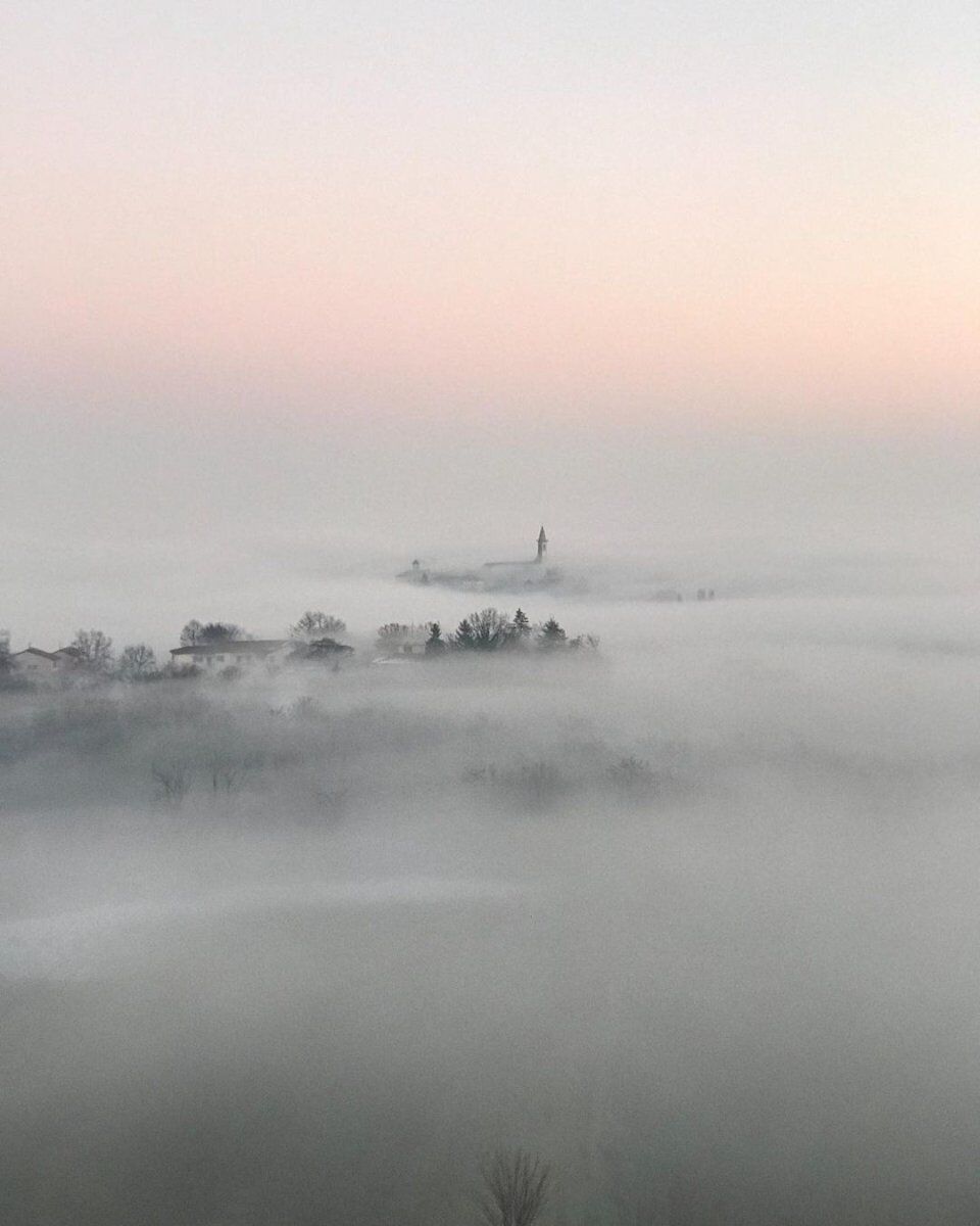 Passeggiata tra le colline del Monferrato intorno a Terruggia desktop picture