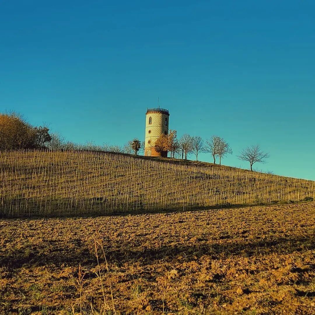 Passeggiata tra le colline del Monferrato intorno a Terruggia desktop picture