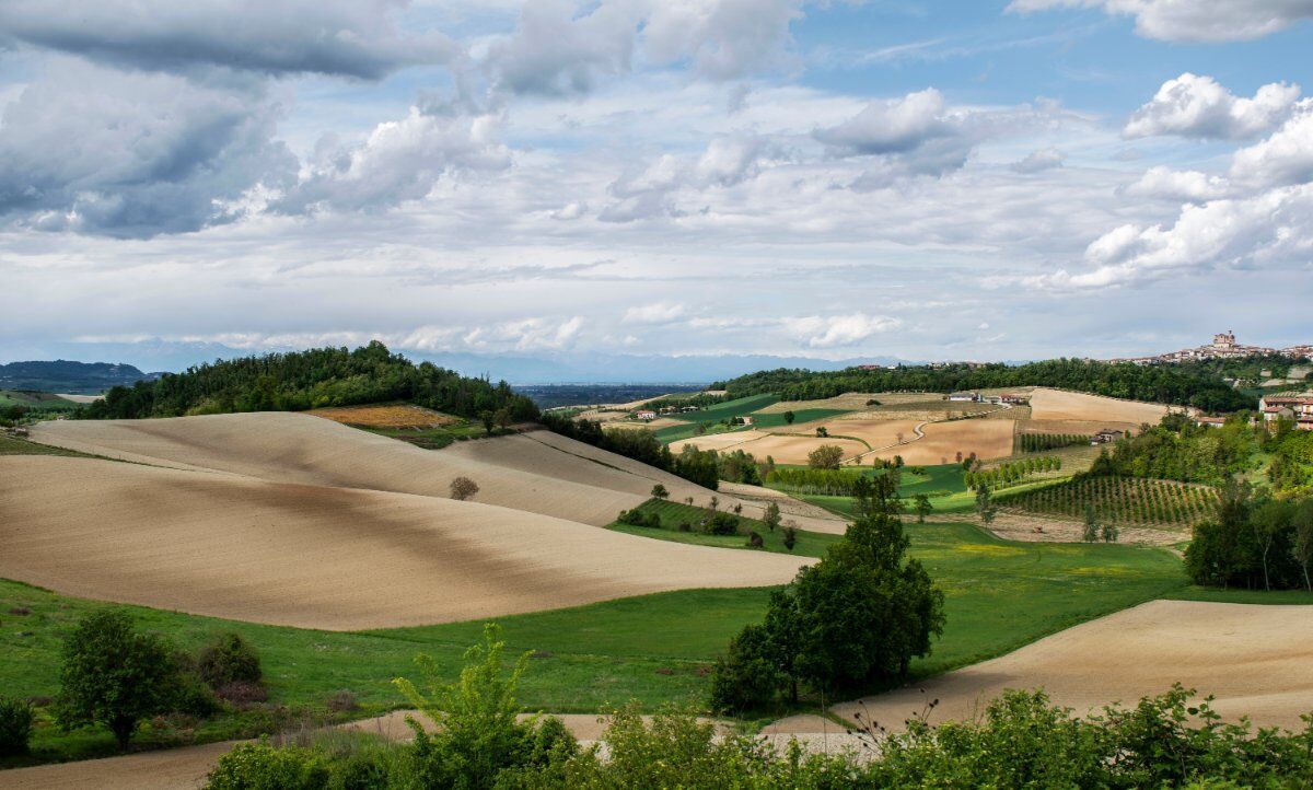 Passeggiata tra le colline del Monferrato intorno a Terruggia desktop picture