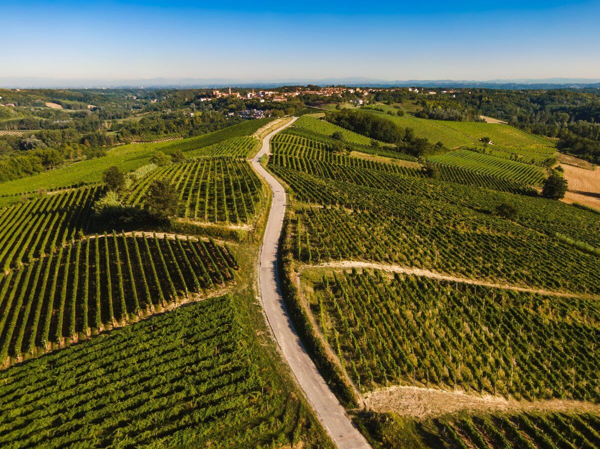 L'anello di Vignale Monferrato L'anello di Vignale Monferrato desktop picture