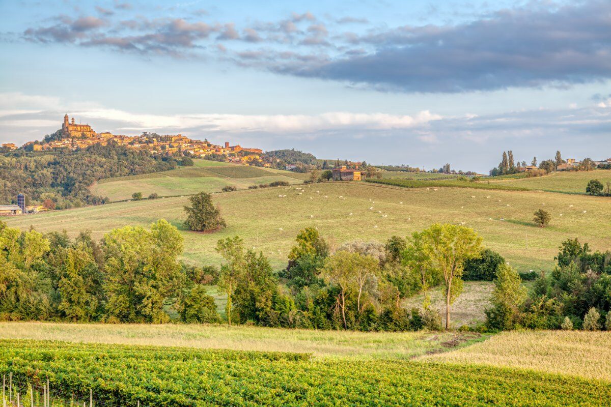 L'anello di Vignale Monferrato desktop picture