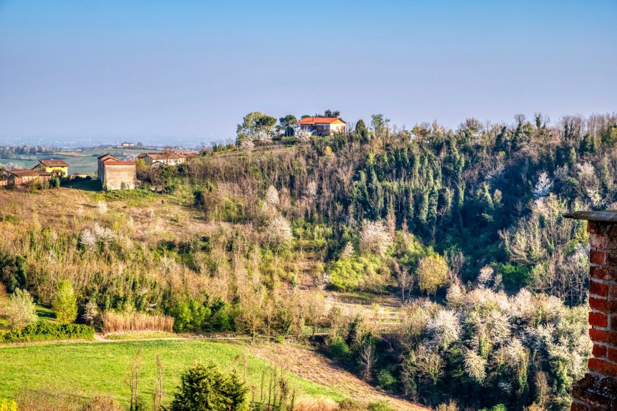 L'anello di Vignale Monferrato L'anello di Vignale Monferrato desktop picture