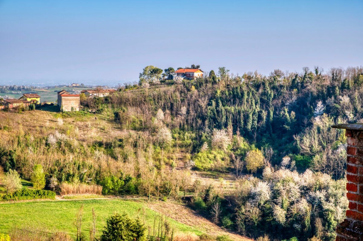 L'anello di Vignale Monferrato desktop picture