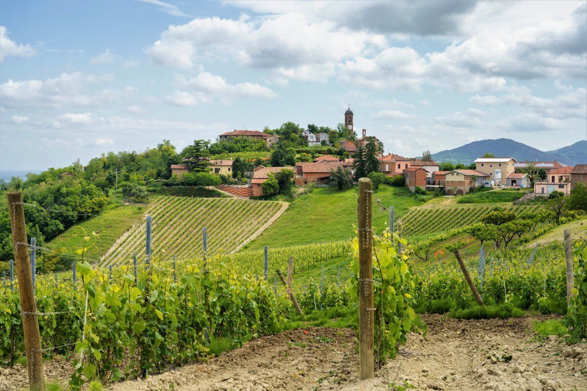 Escursione ad anello in Monferrato: i Borghi e le colline di Monleale desktop picture