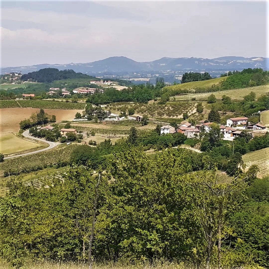 Escursione ad anello in Monferrato: i Borghi e le colline di Monleale desktop picture