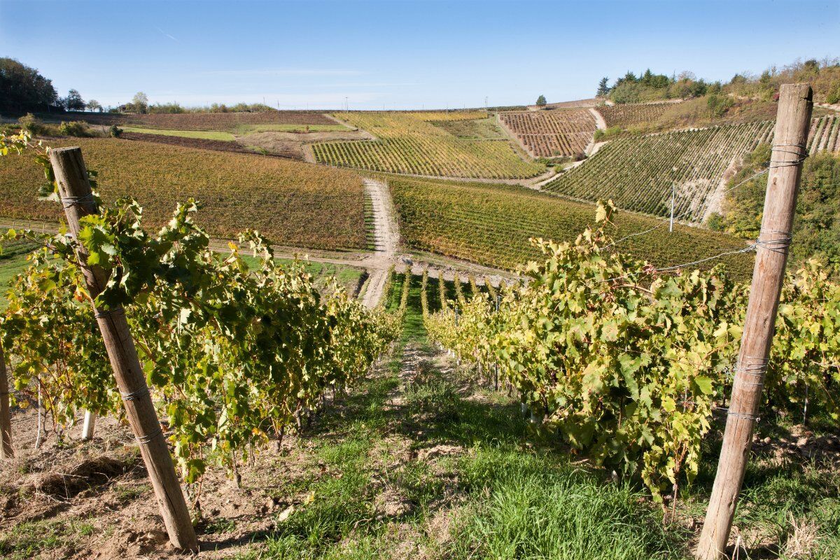 Escursione ad anello in Monferrato: i Borghi e le colline di Monleale Escursione ad anello in Monferrato: i Borghi e le colline di Monleale desktop picture