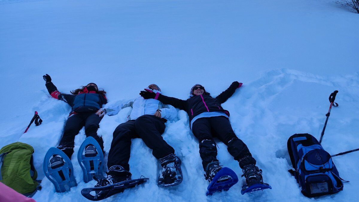 Ciaspolata ad anello a Folgaria: in cima al Monte Maggio Ciaspolata ad anello a Folgaria: in cima al Monte Maggio desktop picture