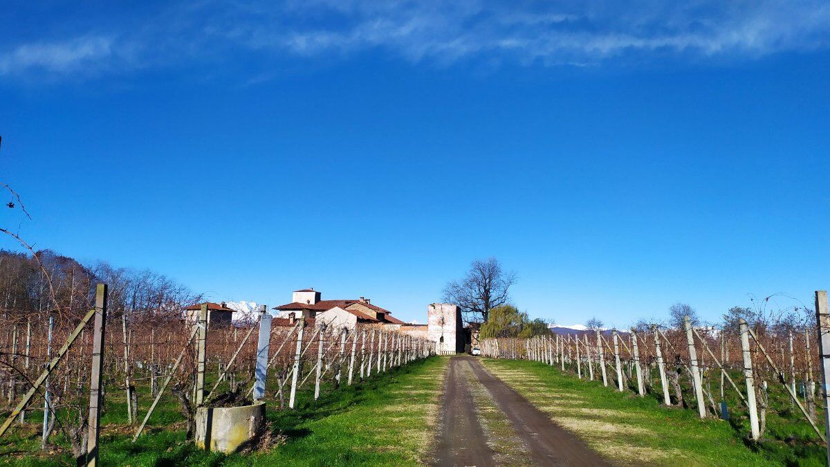Camminata a Ghemme: le colline del vino e il Ricetto medievale desktop picture