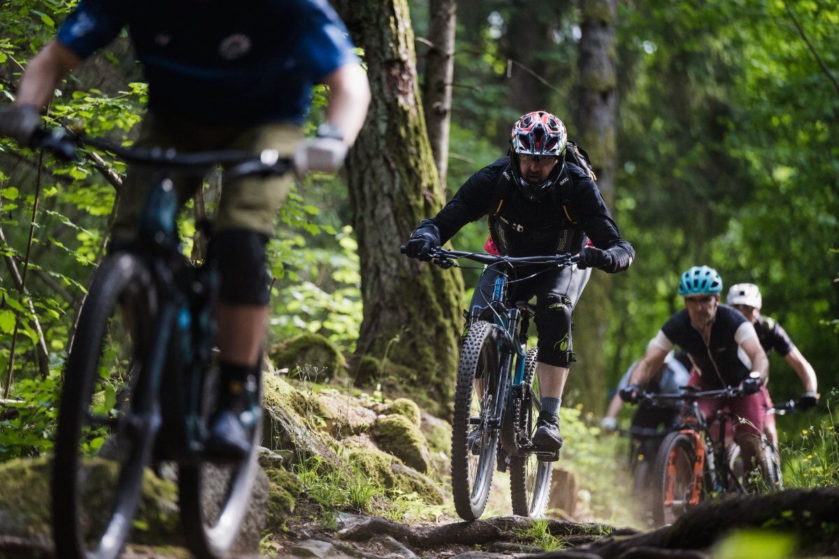 E-bike enduro tour in Val di Sole desktop picture