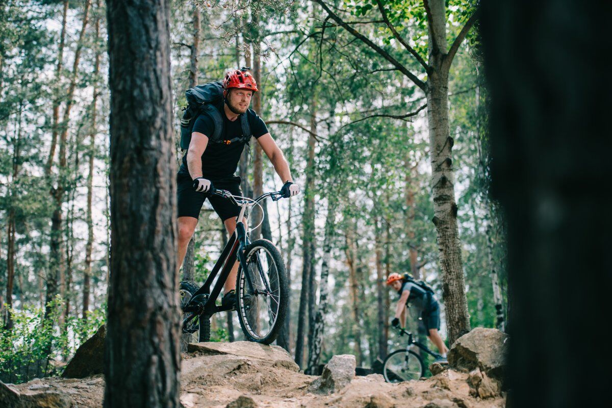 E-bike enduro tour in Val di Sole desktop picture