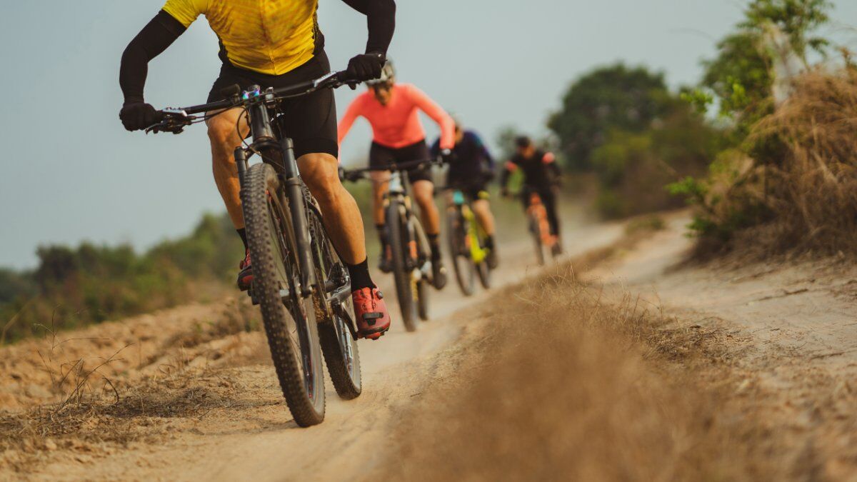 E-bike enduro tour in Val di Sole desktop picture