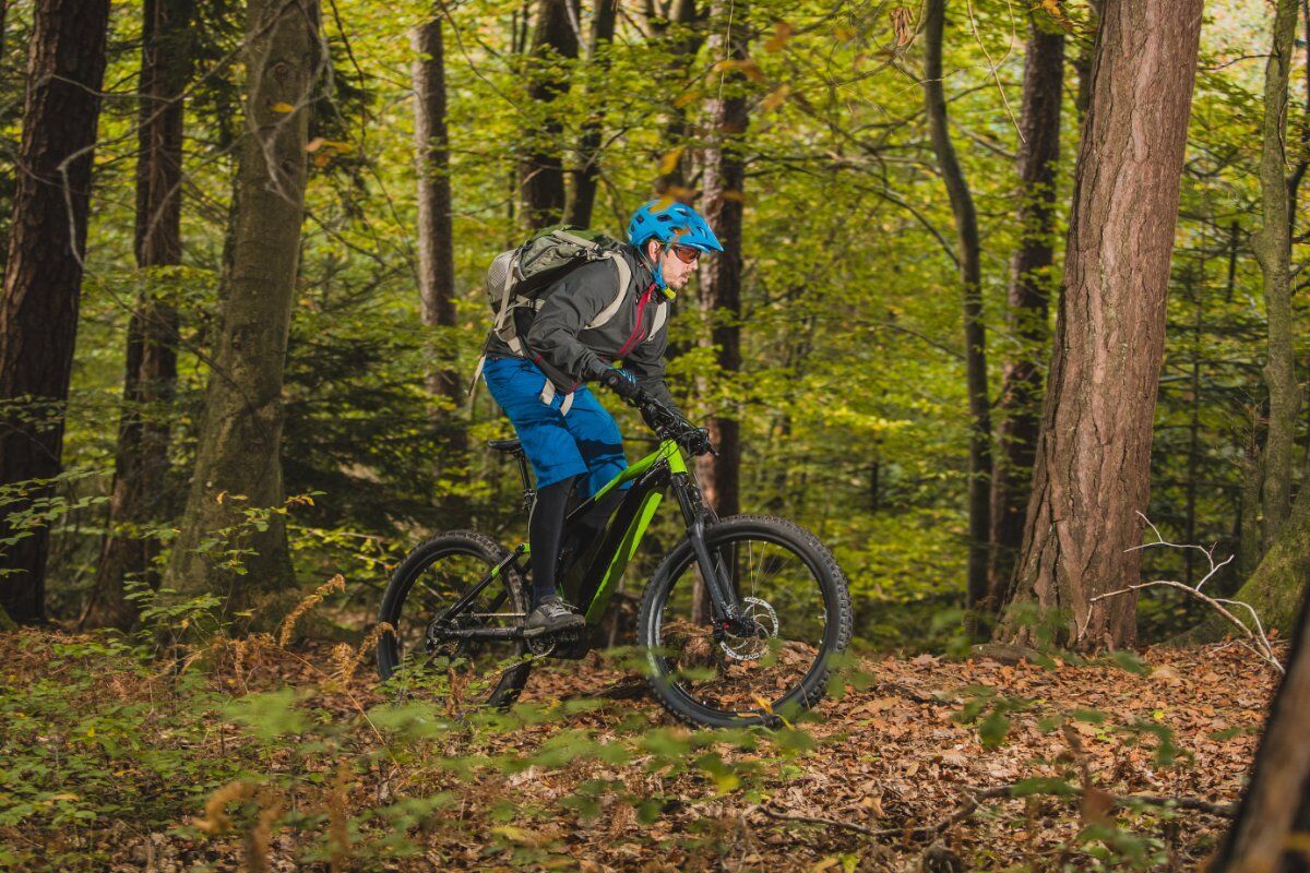 E-bike enduro tour in Val di Sole desktop picture