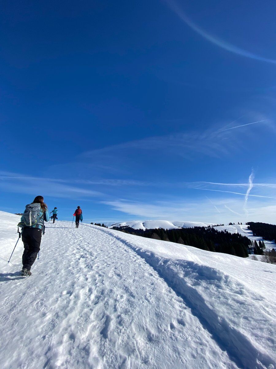 Escursione lungo la dorsale dell'Altopiano di Asiago: i monti Ongara e Baldo desktop picture