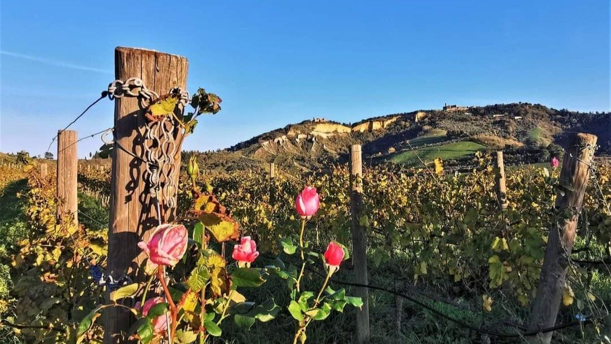 Alla scoperta del Sale di Volterra: passeggiata con degustazione al tramonto desktop picture