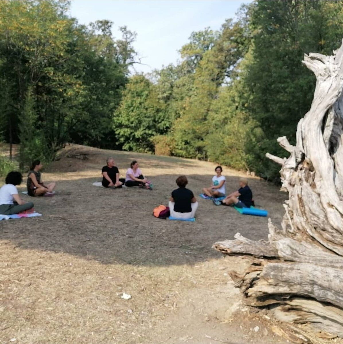 Incontro con psicologa: lezione di ecobenessere in natura Incontro con psicologa: lezione di ecobenessere in natura desktop picture