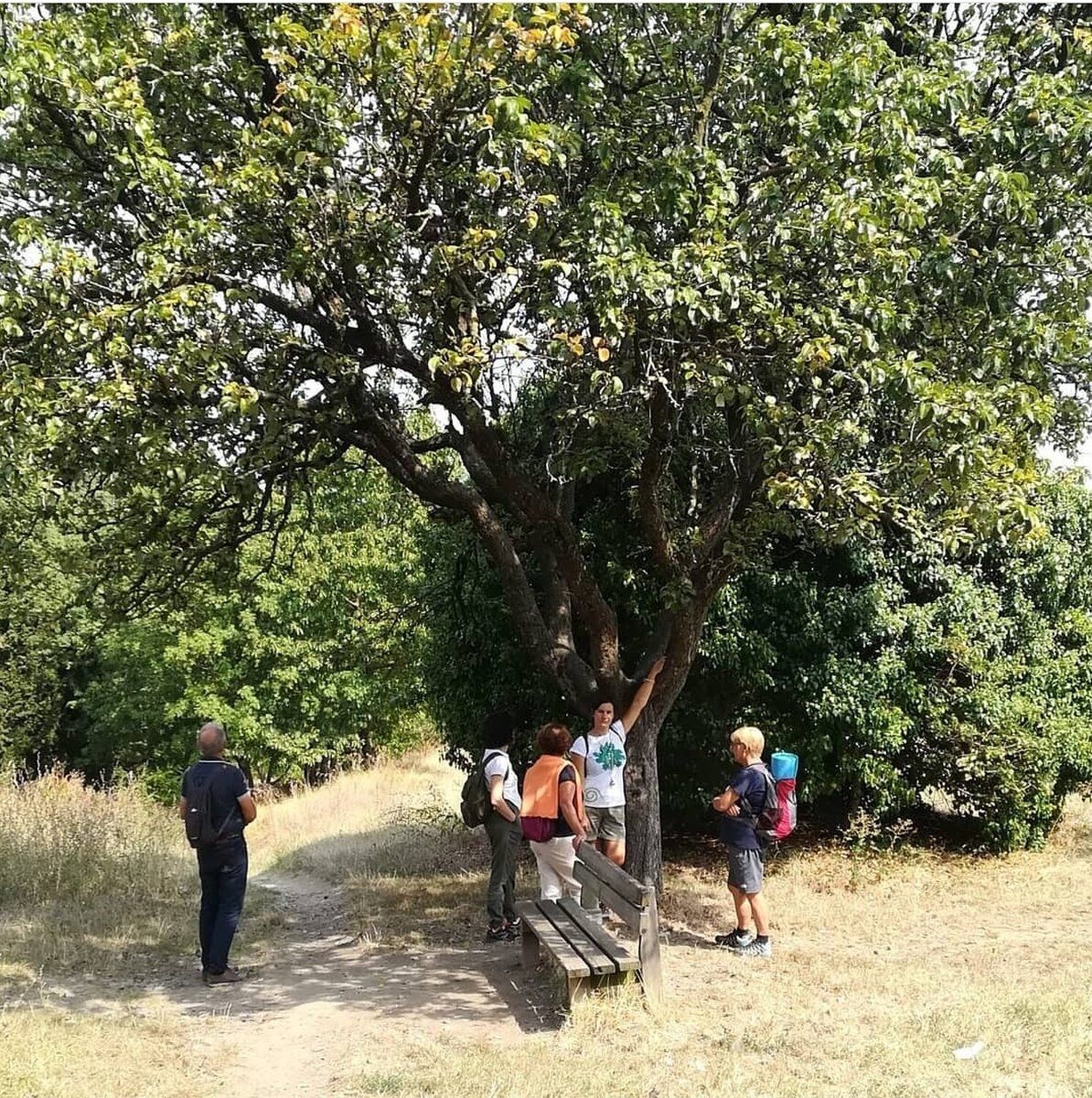 Incontro con psicologa: lezione di ecobenessere in natura Incontro con psicologa: lezione di ecobenessere in natura desktop picture