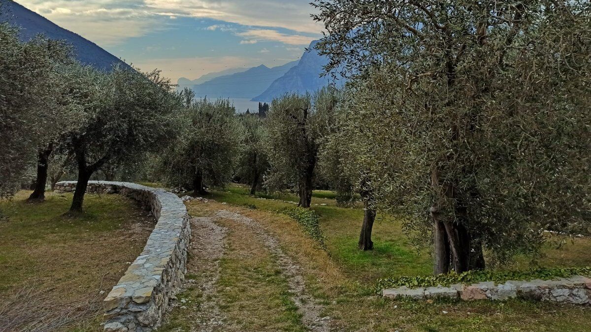 Trekking alla scoperta di Torbole e dell'Alto Garda Trekking alla scoperta di Torbole e dell'Alto Garda desktop picture