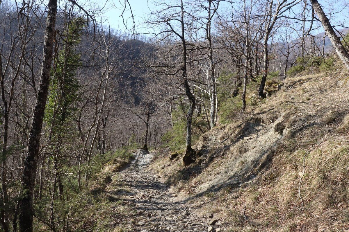 Escursione a Rio Salso e degustazione di prodotti locali Escursione a Rio Salso e degustazione di prodotti locali desktop picture