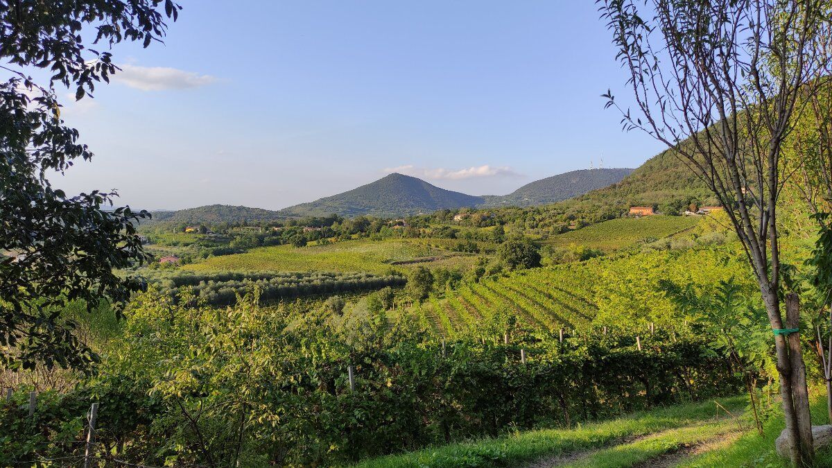 Trekking alla scoperta dei monti Gemola e Rusta Trekking alla scoperta dei monti Gemola e Rusta desktop picture