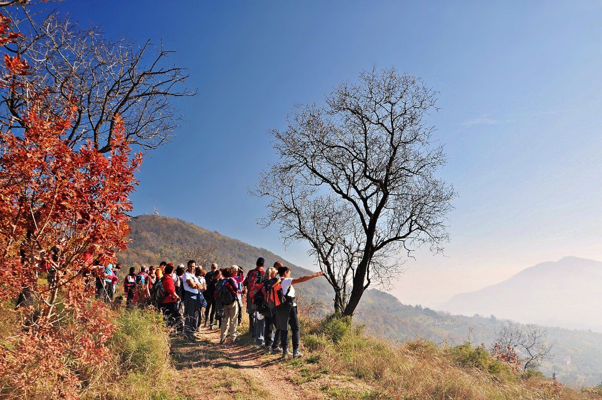 Rivelando tesori nascosti: escursione al Monte Orbieso Rivelando tesori nascosti: escursione al Monte Orbieso desktop picture