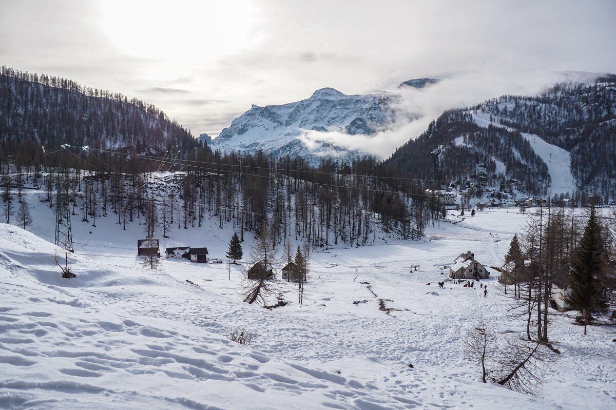 Ciaspolata negli scenari fiabeschi dell'Alpe Devero Ciaspolata negli scenari fiabeschi dell'Alpe Devero desktop picture