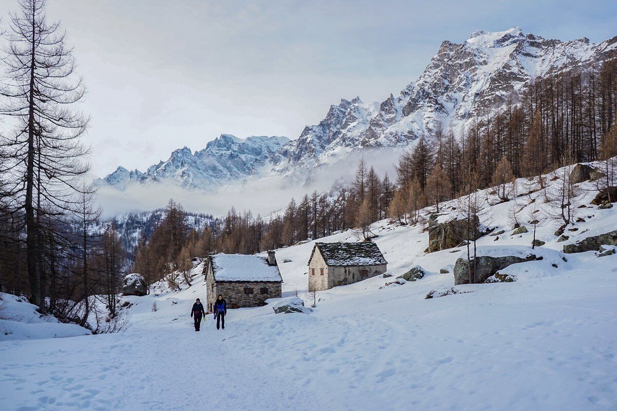 Ciaspolata negli scenari fiabeschi dell'Alpe Devero Ciaspolata negli scenari fiabeschi dell'Alpe Devero desktop picture