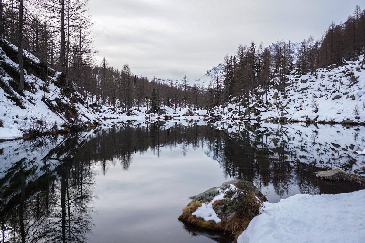 Ciaspolata negli scenari fiabeschi dell'Alpe Devero Ciaspolata negli scenari fiabeschi dell'Alpe Devero desktop picture