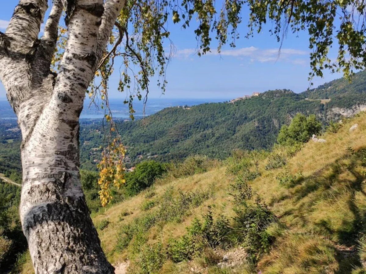 Trekking nelle Prealpi Varesine: Campo dei Fiori e Monte Chiusarella Trekking nelle Prealpi Varesine: Campo dei Fiori e Monte Chiusarella desktop picture