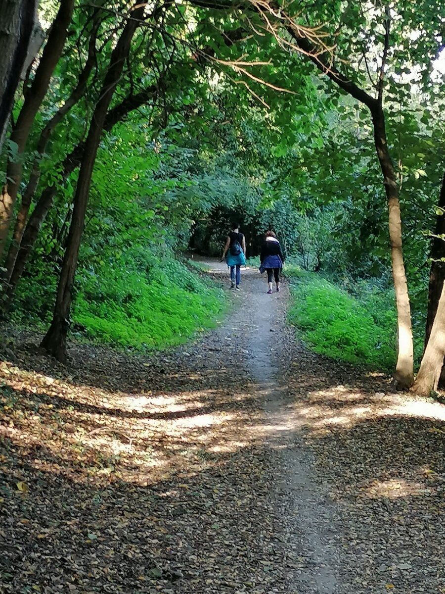 Incontro con psicologa: tra sensazione e percezione in natura Incontro con psicologa: tra sensazione e percezione in natura desktop picture