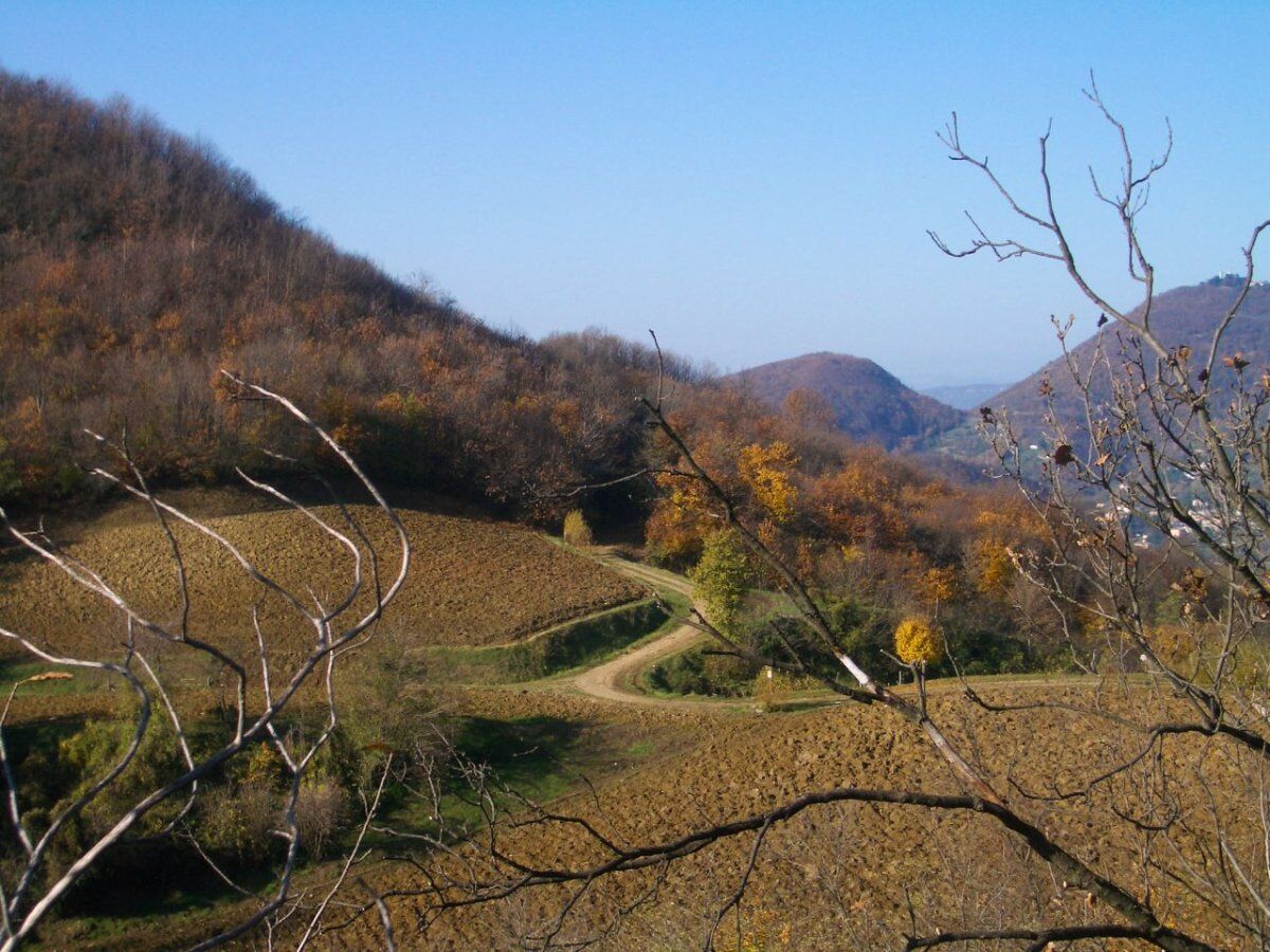 Antichi percorsi sopra Luvigliano: trekking sui Colli Euganei desktop picture