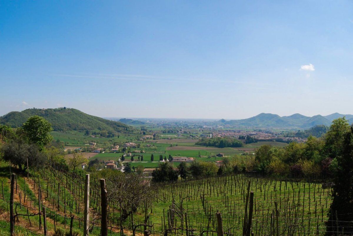 Antichi percorsi sopra Luvigliano: trekking sui Colli Euganei Antichi percorsi sopra Luvigliano: trekking sui Colli Euganei desktop picture