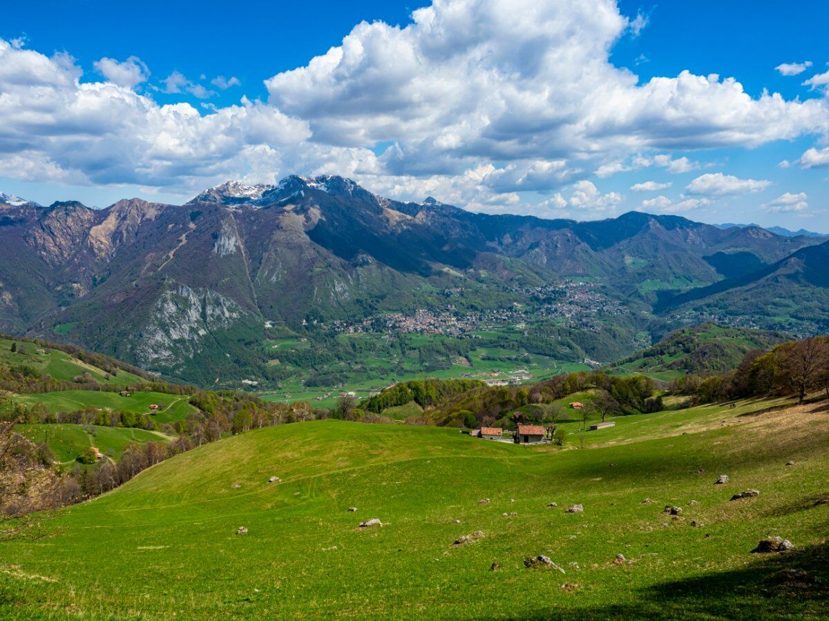 Passeggiata in Valsassina alla scoperta delle piante selvatiche con degustazione di gelato Passeggiata in Valsassina alla scoperta delle piante selvatiche con degustazione di gelato desktop picture