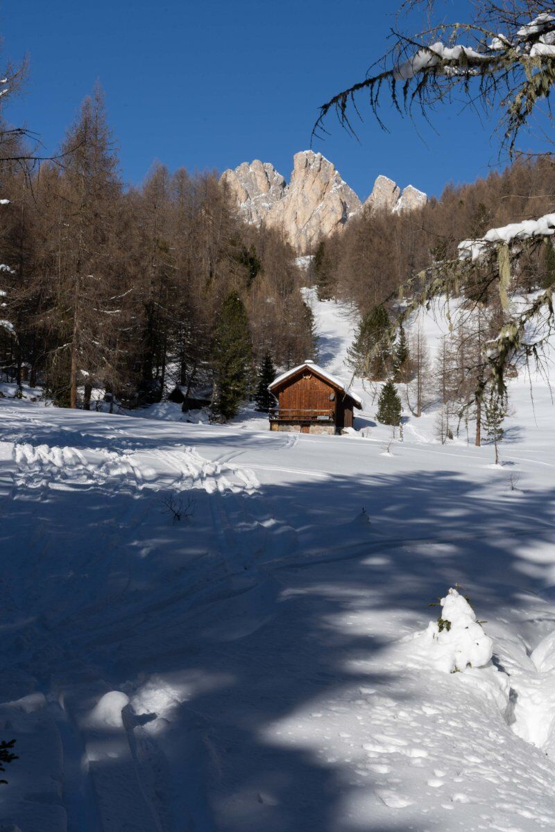 Dal castello di Andraz al Monte Sief: ciaspolata in Val Badia desktop picture